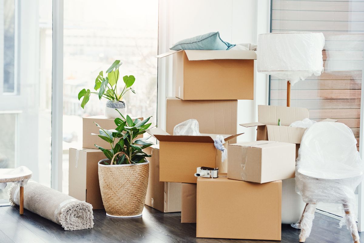 Packing Fragile Items